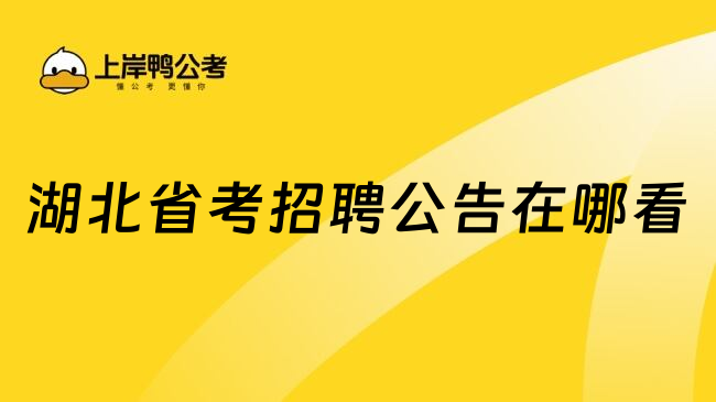 湖北省考招聘公告在哪看