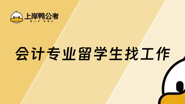 会计专业留学生找工作