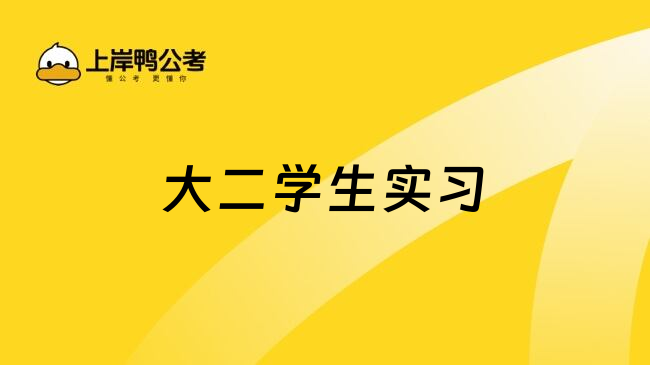 大二学生实习