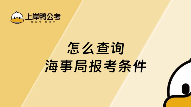 怎么查询海事局报考条件