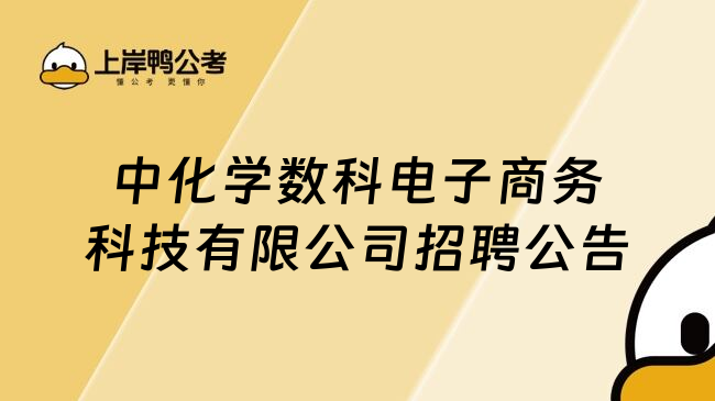 中化学数科电子商务科技有限公司招聘公告