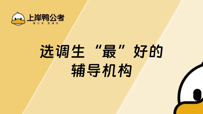 选调生&ldquo;最&rdquo;好的辅导机构