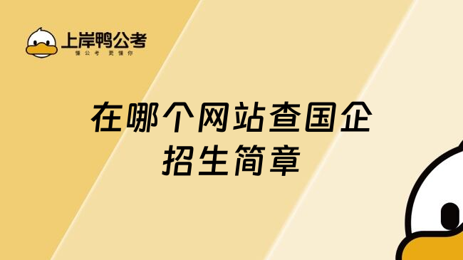 在哪个网站查国企招生简章