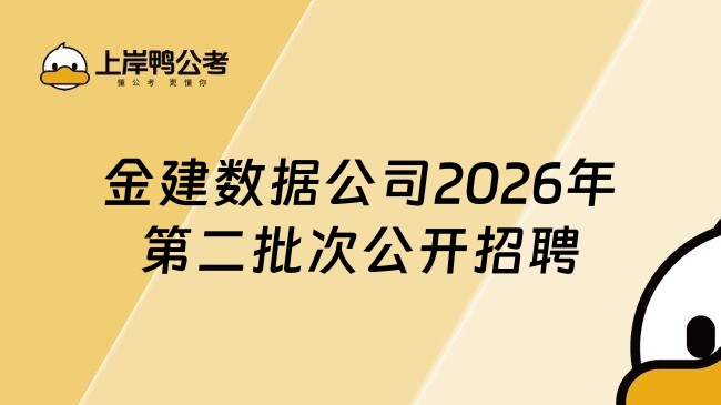 金建数据公司2026年第二批次公开招聘