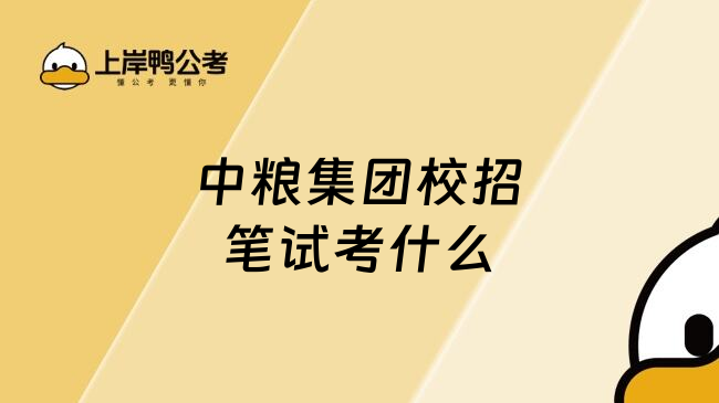 中粮集团校招笔试考什么