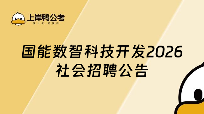 国能数智科技开发2026社会招聘公告