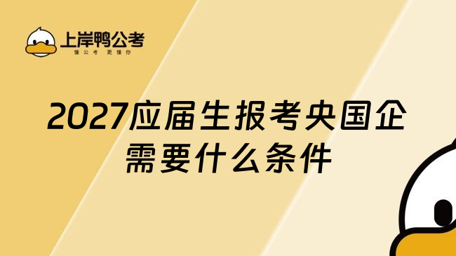 2027应届生报考央国企需要什么条件