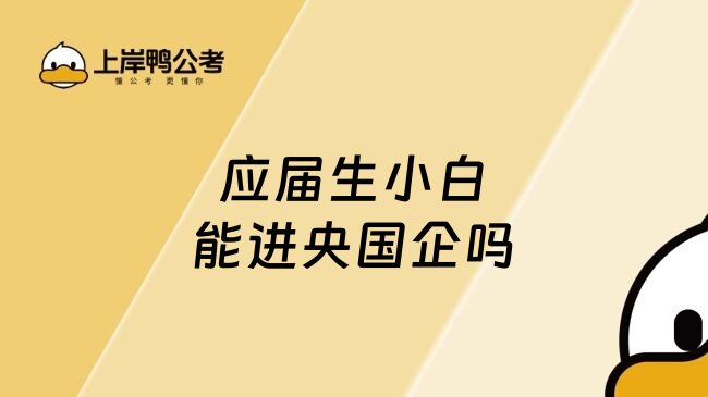 应届生小白能进央国企吗