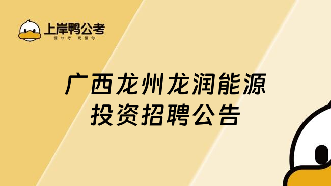 广西龙州龙润能源投资招聘公告