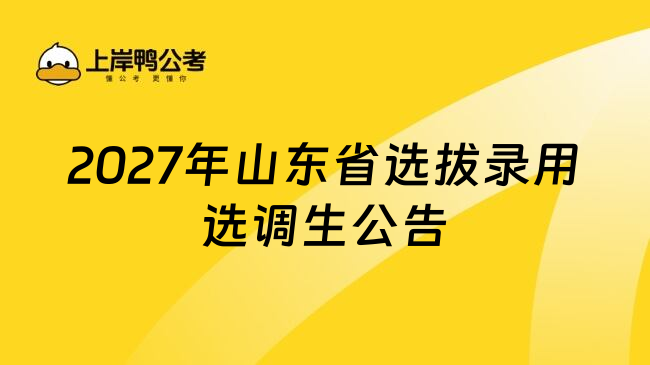 2027年山东省选拔录用选调生公告