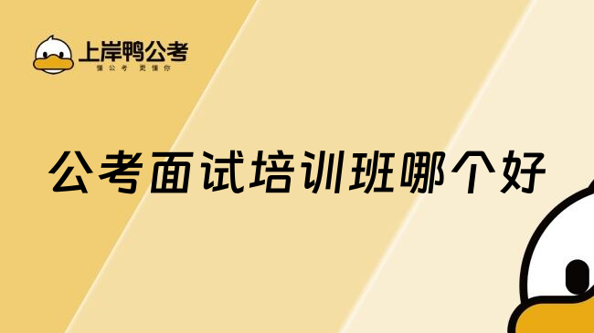 公考面试培训班哪个好