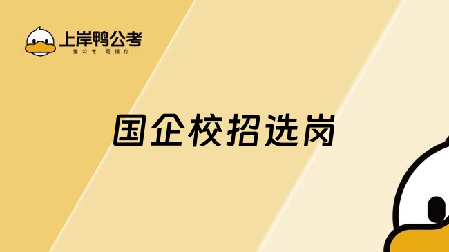 国企校招选岗